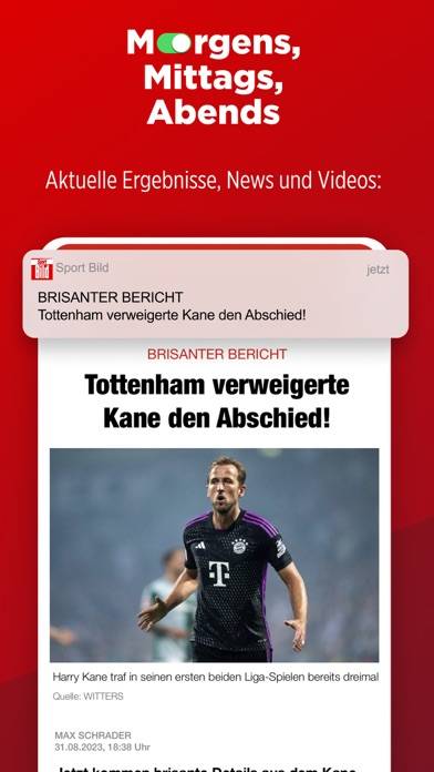 SPORT BILD: Alle Fussball News App-Screenshot