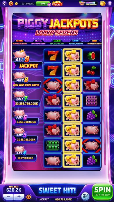 DoubleU Casino™ Capture d'écran de l'application #4