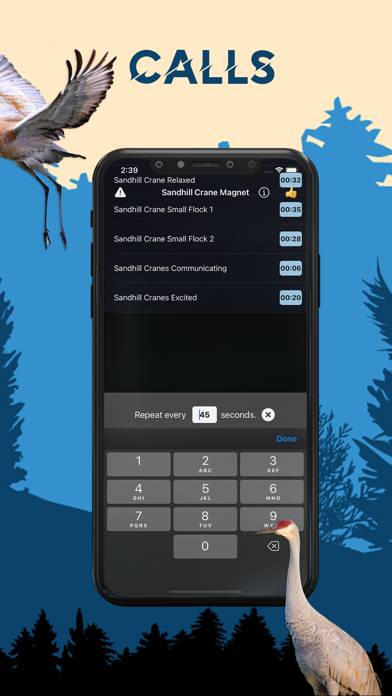 Sandhill Crane Magnet App screenshot #3