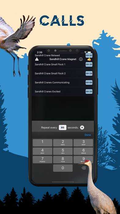 Sandhill Crane Magnet App screenshot