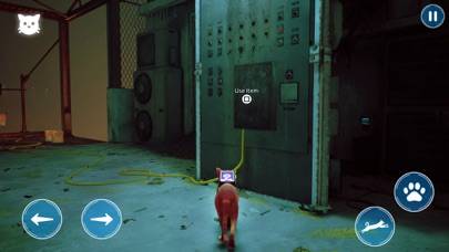 Cat Simulator Horror Life Скриншот приложения #3