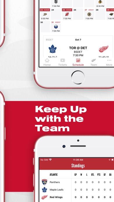 Detroit Red Wings App screenshot