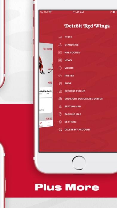 Detroit Red Wings App screenshot