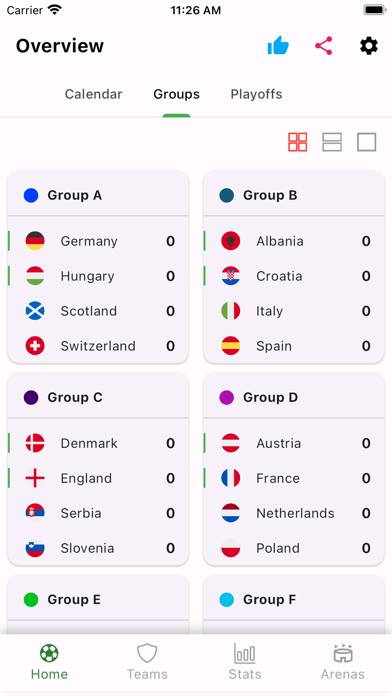 Euro Cup 2024 App skärmdump #3