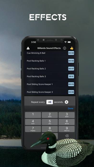 Loon Sound Effects screenshot