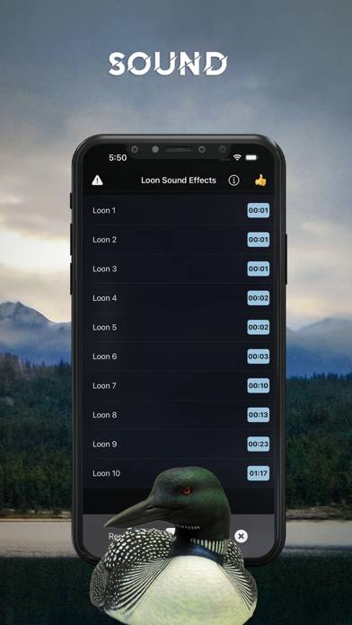 Loon Sound Effects App screenshot