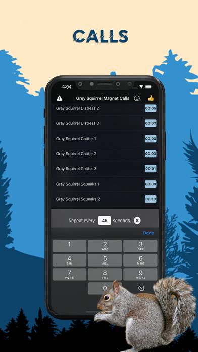 Gray Squirrel Magnet Calls App screenshot #3