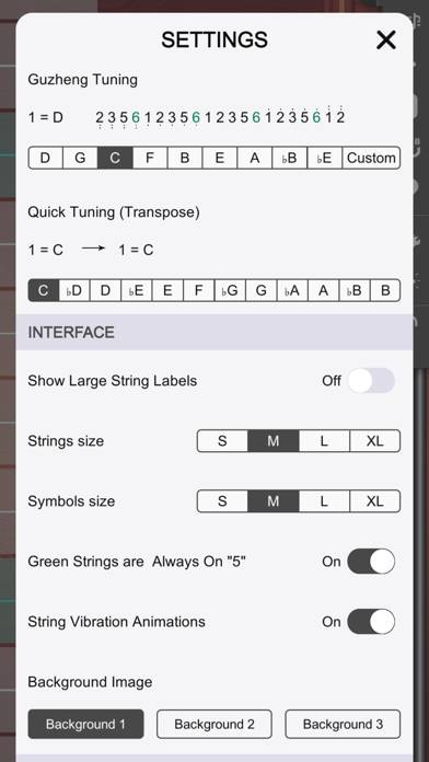 Guzheng Master App-Screenshot #6