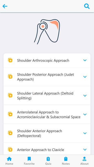 Orthopedic Surgery Approaches Schermata dell'app #2