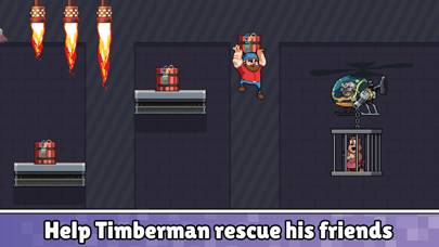 Timberman App screenshot #2