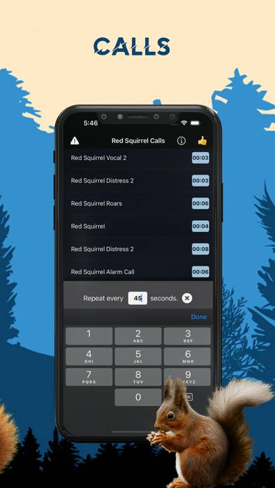 Red Squirrel Magnet Calls App screenshot