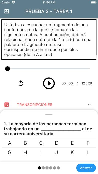 DELE C1 Spanish Captura de pantalla de la aplicación #4