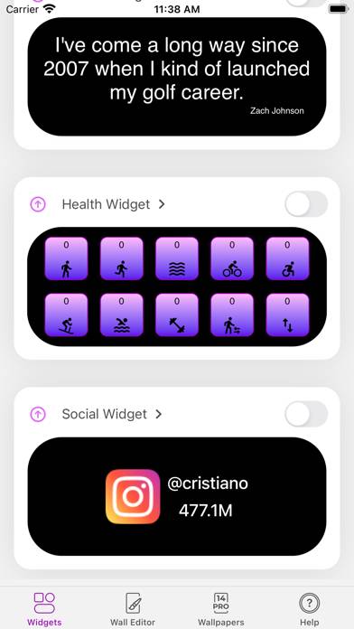Widgets 17 Schermata dell'app #2