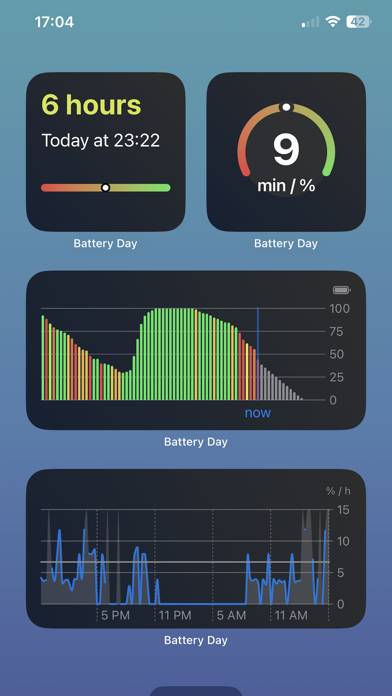 Battery Day Schermata dell'app #3