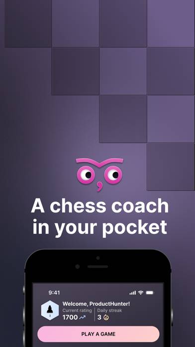 Chess by Noctie skärmdump