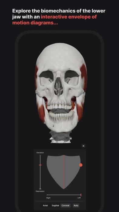 Skull, Teeth & TMJ Schermata dell'app #1