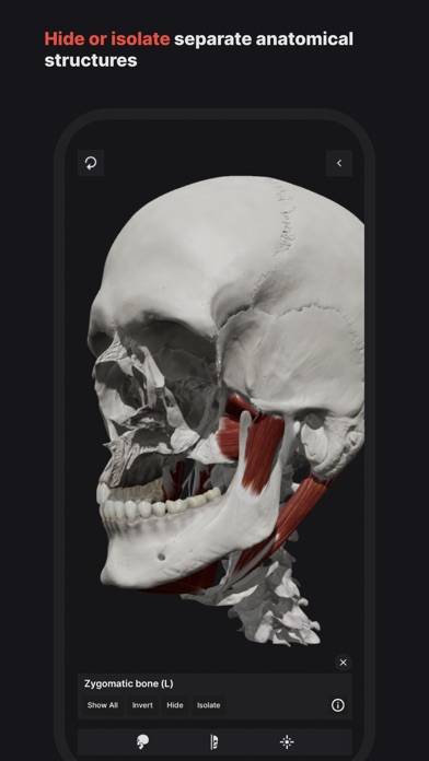 Skull, Teeth & TMJ Schermata dell'app #3
