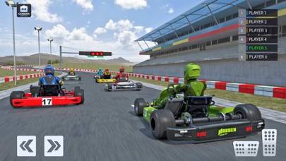 Go Kart Racing: Drive Car Game Schermata dell'app #2