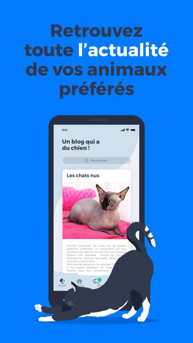 Dr Milou capture d'écran #4