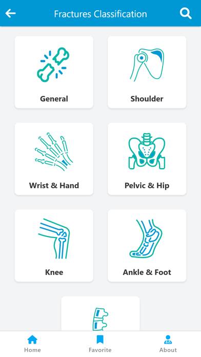 Orthopedic Classification App screenshot #3