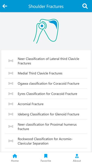 Orthopedic Classification App screenshot #4