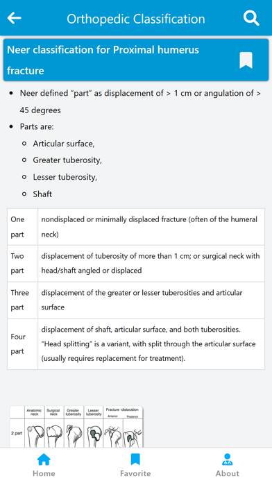 Orthopedic Classification Schermata dell'app #6