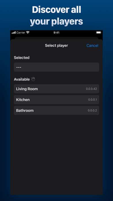 BluRemote Controller App-Screenshot #3