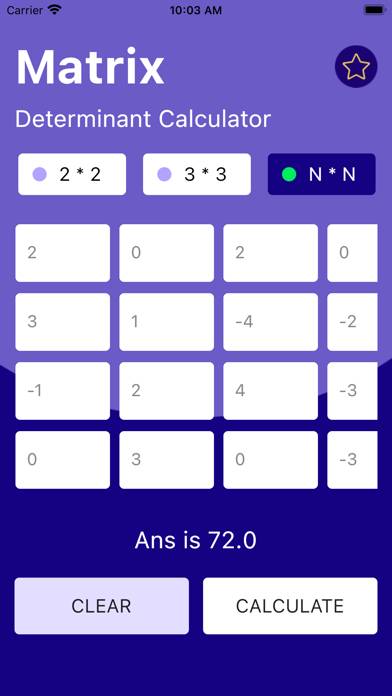 Matrix Determinant Calculator App skärmdump