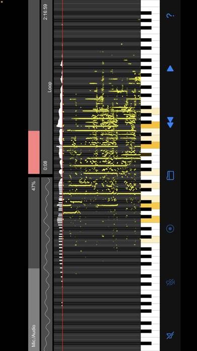 Chord Analyzer Z App skärmdump