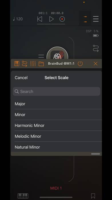 BrainBud App screenshot #3