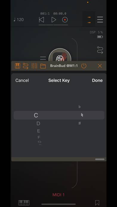 BrainBud Captura de pantalla de la aplicación #4