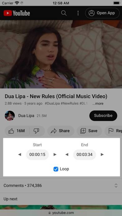 YTLooper Captura de pantalla de la aplicación