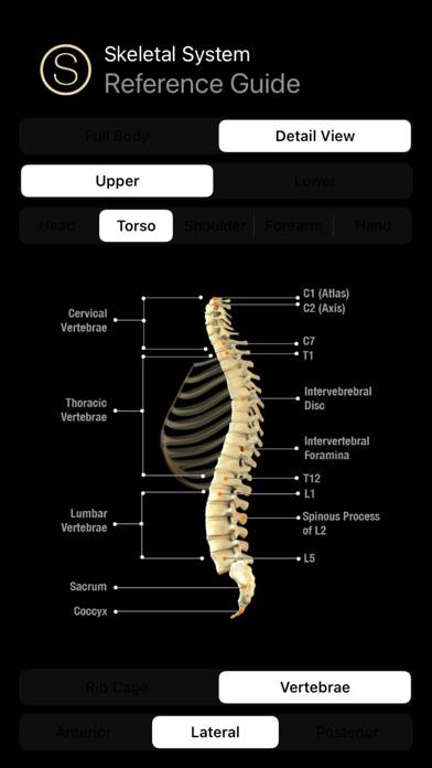 Anatomy Reference Guide App screenshot #2