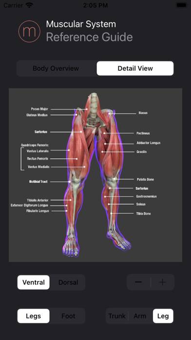Anatomy Reference Guide App screenshot #3