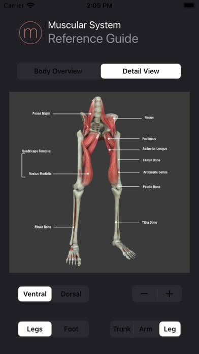 Anatomy Reference Guide App screenshot #6