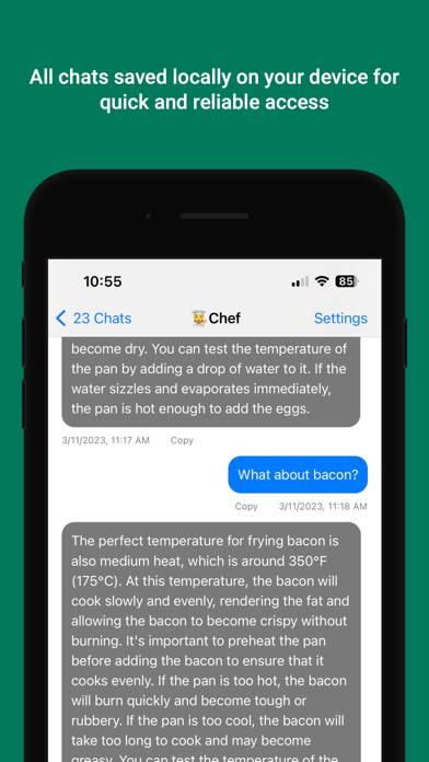 ChatAi App-Screenshot #2