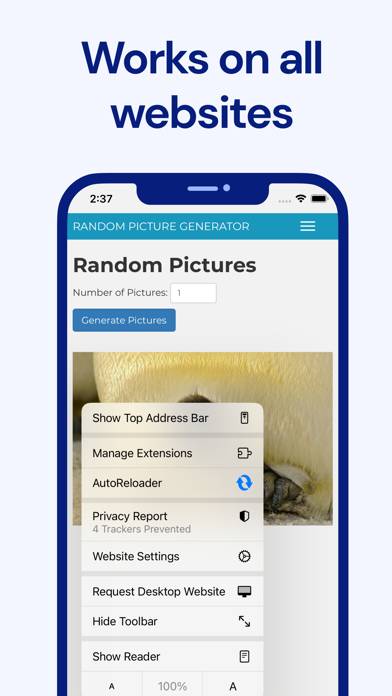Auto Reloader: Page Refresher Captura de pantalla de la aplicación