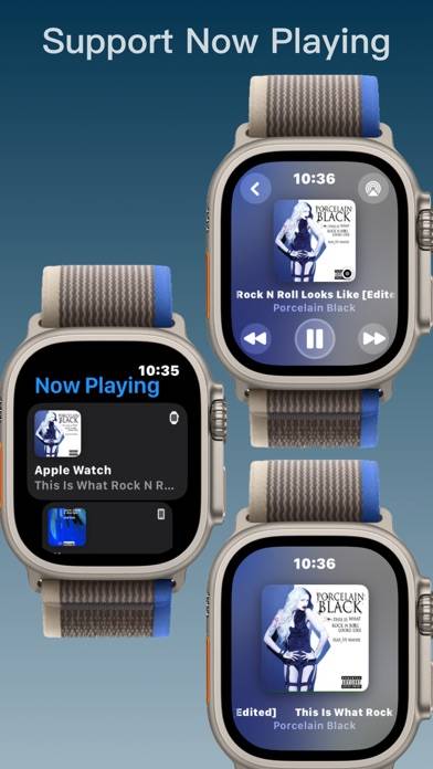 Player for Watch Captura de pantalla de la aplicación #3