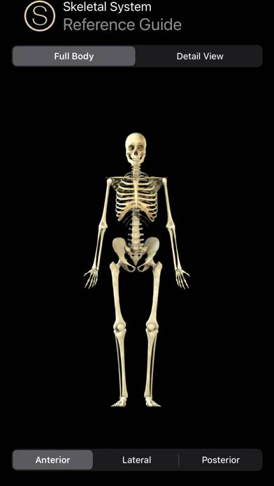 Skeleton Study Guide App screenshot #1