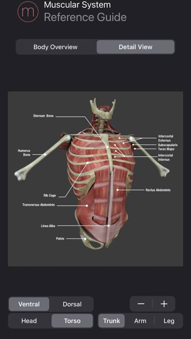 Muscle Study Guide App screenshot #4
