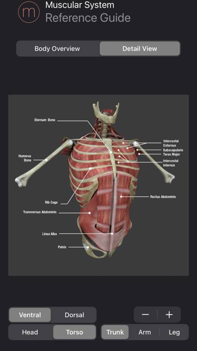Human Anatomy Study Guide App screenshot #4
