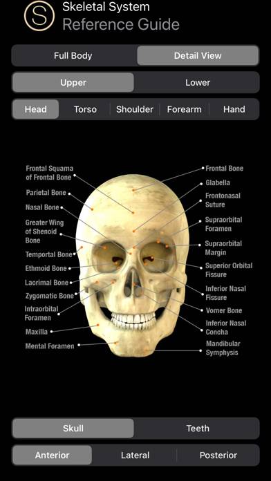 Human Anatomy Study Guide App screenshot #5