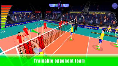 Enjoy volleyball screenshot