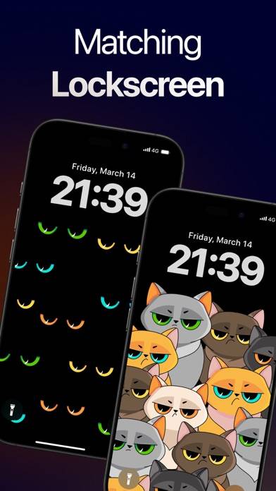 WallPics Schermata dell'app