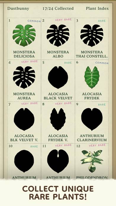 Dustbunny: Emotions to Plants game screenshot