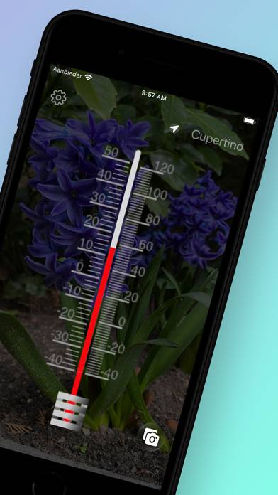 Thermometer Direct Capture d'écran de l'application #2