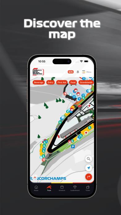 F1 Spa GP App screenshot #2
