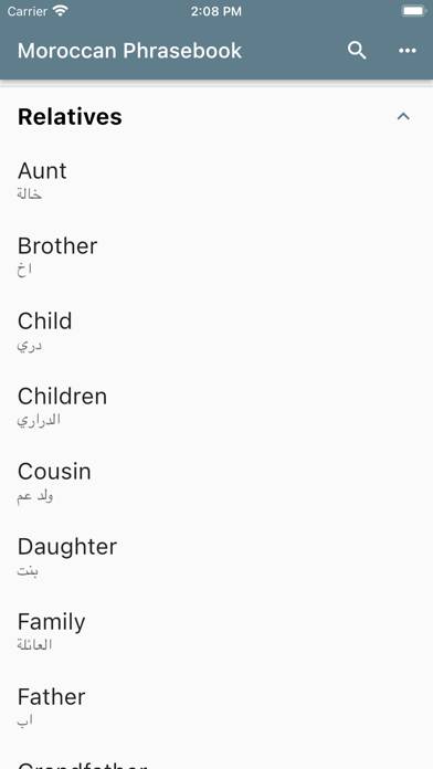 Moroccan Phrasebook Captura de pantalla de la aplicación #4