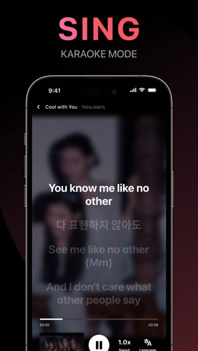 Kpop Lyrics & Karaoke App screenshot