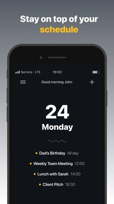 Solid Calendar App preview #1